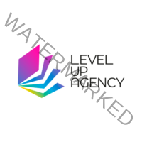 Level Up Agency